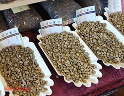 Giá cà phê hôm nay 24-2: Đi xuống, ông lớn cà phê than giá cao