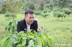 Chàng trai Êđê đưa cà phê buôn làng vươn xa