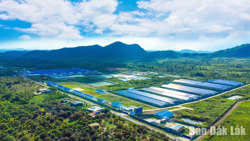 Cú hích chăn nuôi công nghệ cao