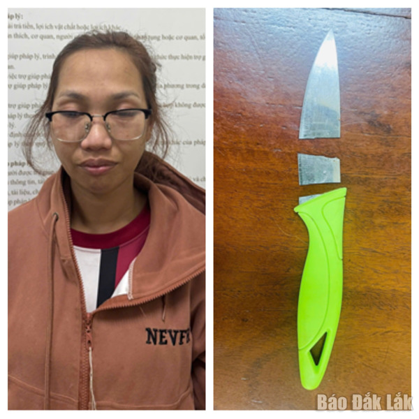 Nhân viên tạp vụ trường đại học dùng dao tấn công chủ nợ