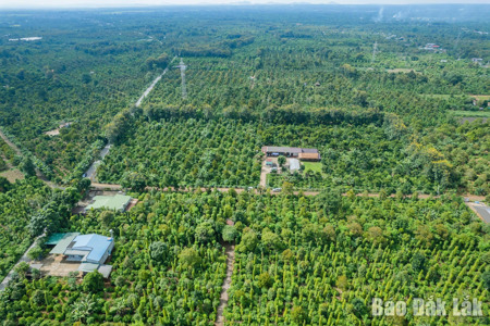 Kiến tạo giá trị từ chuyển đổi xanh và công nghệ số