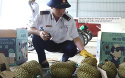 Gỡ vướng kiểm tra nông sản, thực phẩm nhập khẩu