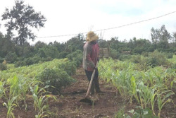 Chưa có kinh phí bồi thường cho 6 giáo viên thắng kiện hơn 4 năm trước