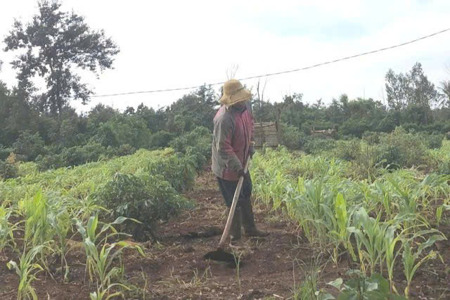 Chưa có kinh phí bồi thường cho 6 giáo viên thắng kiện hơn 4 năm trước