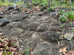 Phát hiện bãi đá có họa tiết kỳ lạ tại Vườn quốc gia Yok Đôn