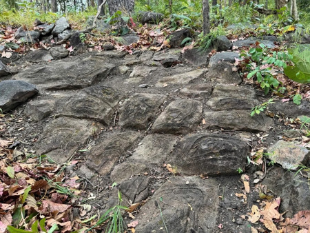 Phát hiện bãi đá có họa tiết kỳ lạ tại Vườn quốc gia Yok Đôn