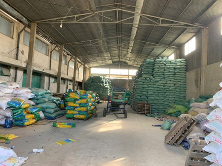 Khởi tố đối tượng sản xuất hàng trăm tấn lúa giống giả bán ra nhiều tỉnh, thành