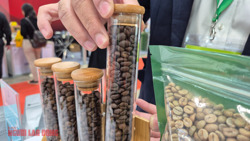 Giá cà phê hôm nay 5-2: Robusta giảm phiên thứ 3