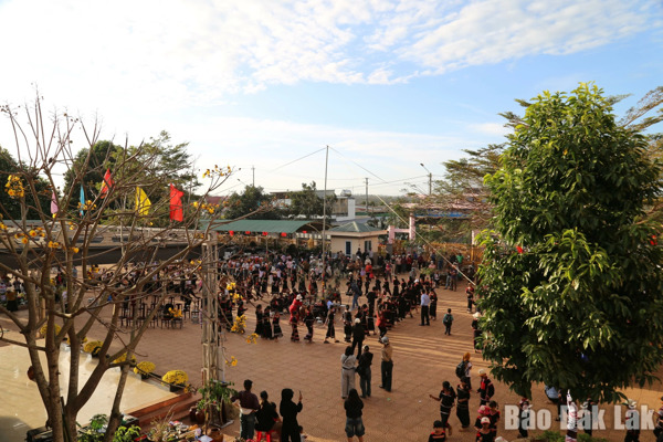 Học sinh vui với Lễ hội mừng lúa mới