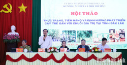 Đắk Lắk: Hướng tới xây dựng chuỗi giá trị bền vững cho cây tre