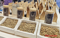 Giá cà phê hôm nay 9-2: Giá có tăng lại?