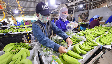 Tạm dừng Nghị định 46, doanh nghiệp vẫn chưa hết lo