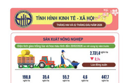 Tình hình kinh tế - xã hội tháng 2/2026
