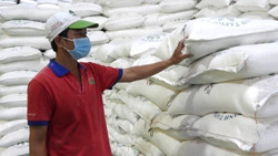 Tiếp tục triển khai Nghị định 46 về an toàn thực phẩm từ 16/4