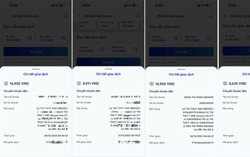 Một phụ nữ lừa đảo chiếm đoạt tài sản với thủ đoạn hiếm thấy