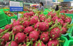 Quy định mới về xuất khẩu nông sản sang Trung Quốc từ 1-6