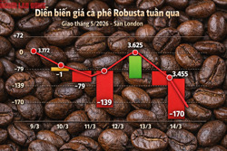 Giá cà phê hôm nay 14-3: Rớt mạnh khi người Mỹ thay đổi thói quen