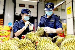 4 lưu ý với doanh nghiệp khi thực hiện Lệnh 280 của Trung Quốc