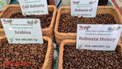 Giá cà phê hôm nay 18-3: Arabica – Robusta đồng loạt tăng, tín hiệu đảo chiều rõ nét