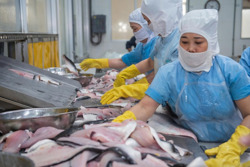 Nỗ lực đưa xuất khẩu vượt qua thách thức