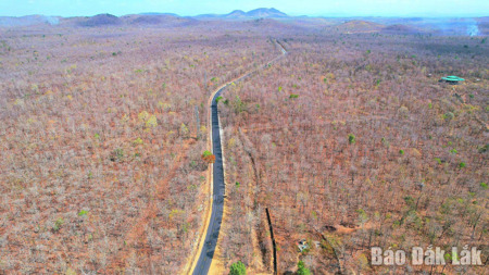 Gian nan giữ rừng trong mùa khô