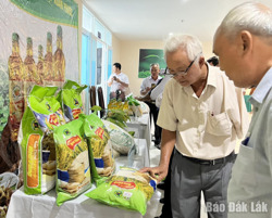 Hợp tác xã thúc đẩy liên kết để phát triển bền vững