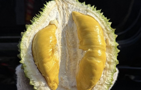 Giá sầu riêng Musang King rẻ đến bất ngờ