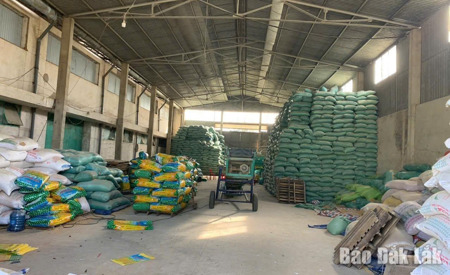 Cần kiểm soát chặt thị trường giống cây trồng