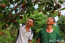 Mùa xanh trên đất khó