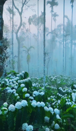 Theo hương cà phê đến Buôn Ma Thuột