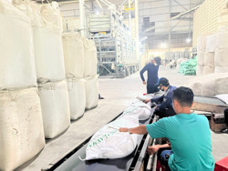 Ổn định thị trường lúa gạo