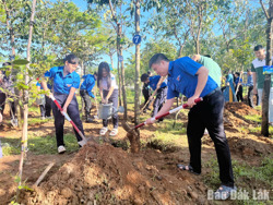 Dựng “lá chắn sinh thái” trước biến đổi khí hậu