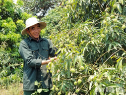 Biến “kinh tế bạc” thành động lực phát triển