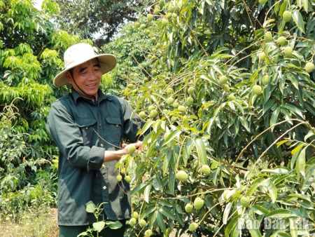 Biến “kinh tế bạc” thành động lực phát triển