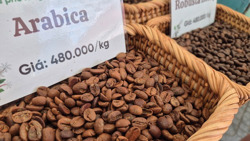 Giá cà phê hôm nay 25-3: Arabica tăng nóng, vượt 7.000 USD/tấn