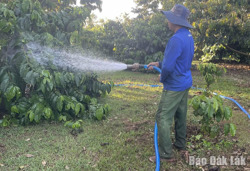 Thích ứng để duy trì sinh kế