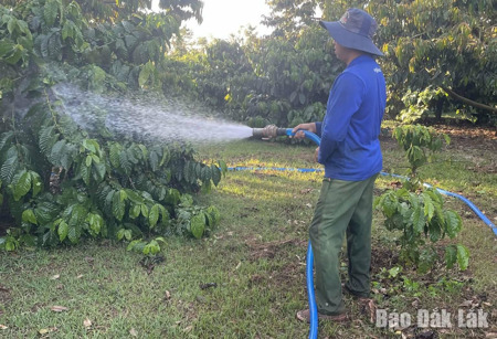 Thích ứng để duy trì sinh kế