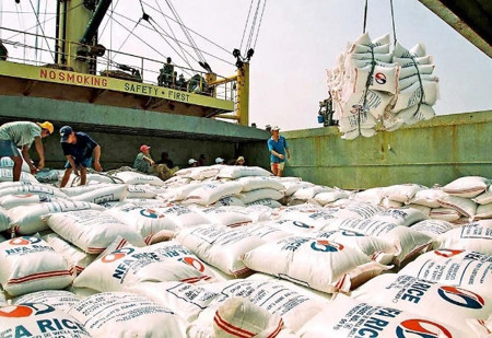 Chủ động mở rộng thị trường xuất khẩu gạo