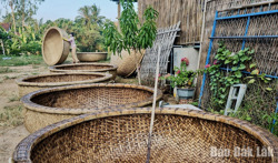 Hồn biển trong những chiếc thuyền thúng