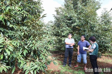 Đắk Lắk: Phấn đấu trên 90% cơ sở sản xuất nông, lâm, thủy sản đạt chuẩn an toàn thực phẩm