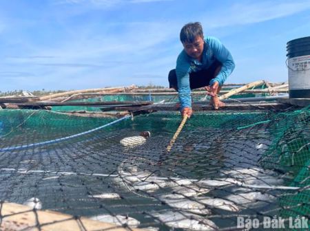 Người nuôi thủy sản trái phép không được hỗ trợ thiệt hại do thiên tai