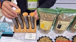 Giá cà phê hôm nay 27-3: Arabica mất gần 200 USD/tấn