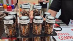 Giá cà phê hôm nay 29-3: Dự báo đáng chú ý