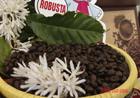 Giá cà phê hôm nay 3-3: Bật tăng dữ dội