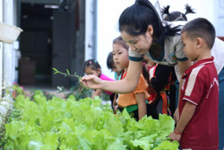 Quy hoạch mạng lưới trường lớp, bảo đảm trẻ em trong độ tuổi được đến trường