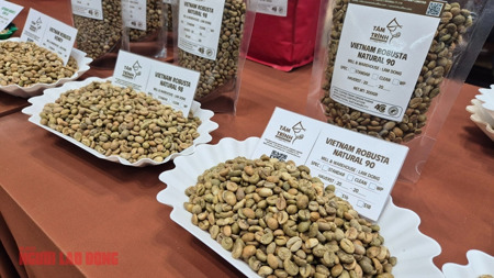 Giá cà phê hôm nay 31-3: Bị bán tháo mạnh ngay đầu tuần