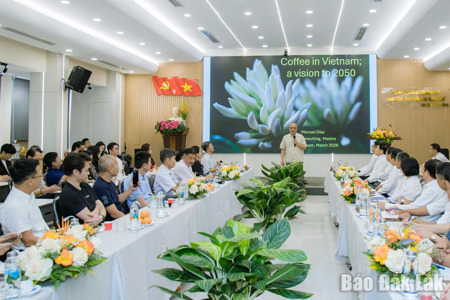 Tham vấn xây dựng hệ thống tiêu chuẩn chất lượng riêng cho cà phê Robusta Việt Nam