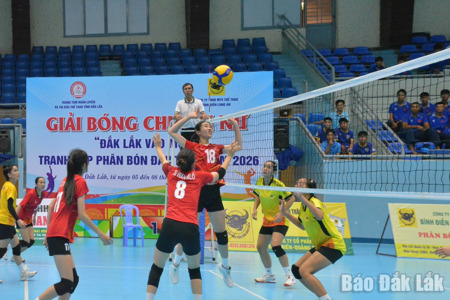 Khởi tranh Giải bóng chuyền nữ “Đắk Lắk vào mùa” tranh Cúp phân bón Đầu Trâu 2026