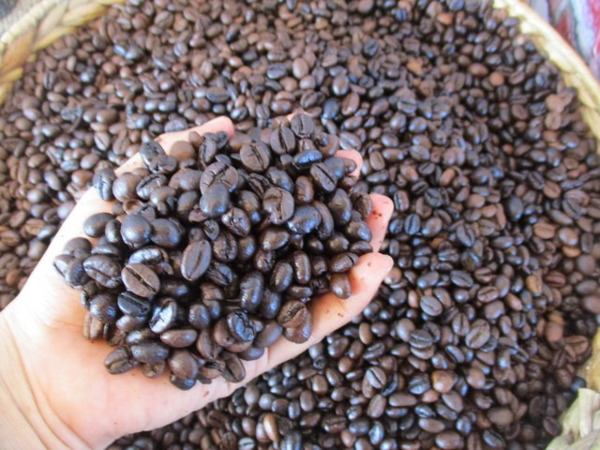 Giá cà phê hôm nay 6-3: Tăng tiếp, giá cà phê xuất khẩu vẫn hơn 4.000 USD/tấn