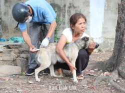 Xã Buôn Đôn: Tiêm phòng bắt buộc đàn chó, mèo